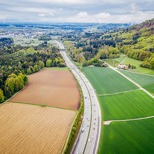 1383160535 Swiss grass plains